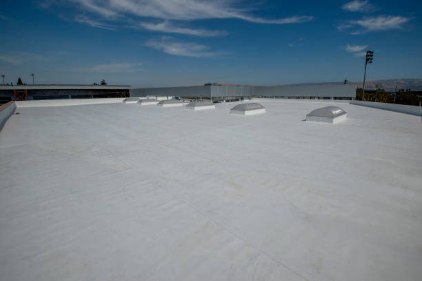 Best Asphalt Shingle Roofing  in Greenville, AL